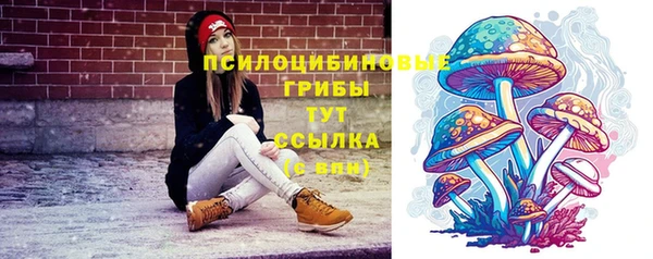 амф Верея